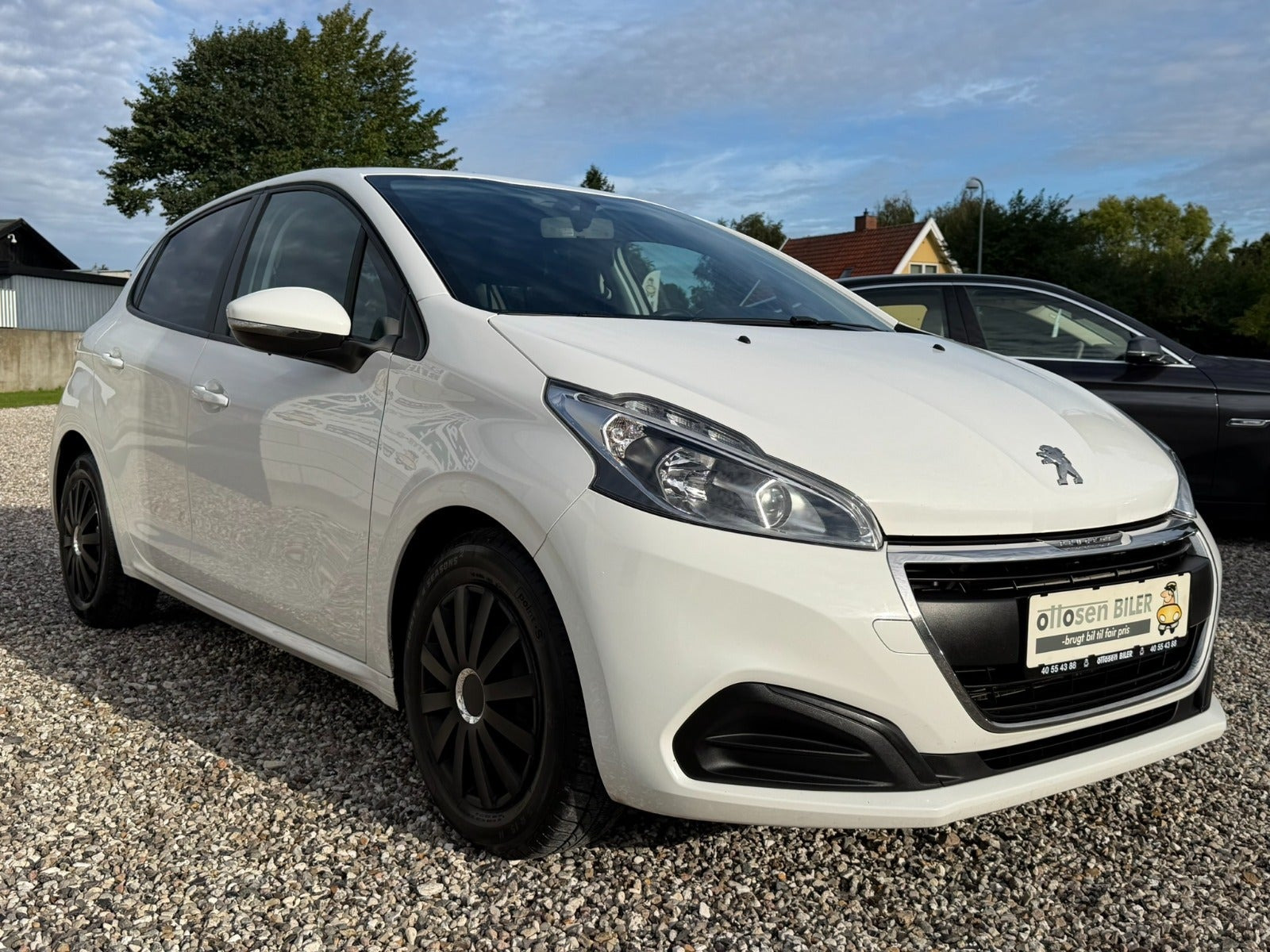 Peugeot 208 1,5 BlueHDi 100 Emotion+