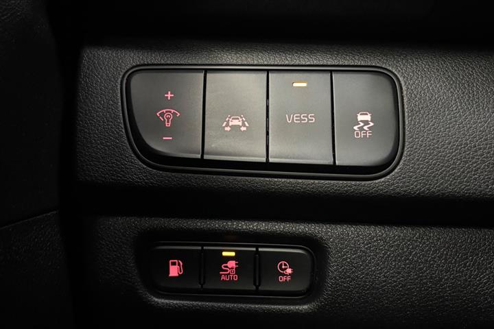 Sort Kia Niro fra 2019