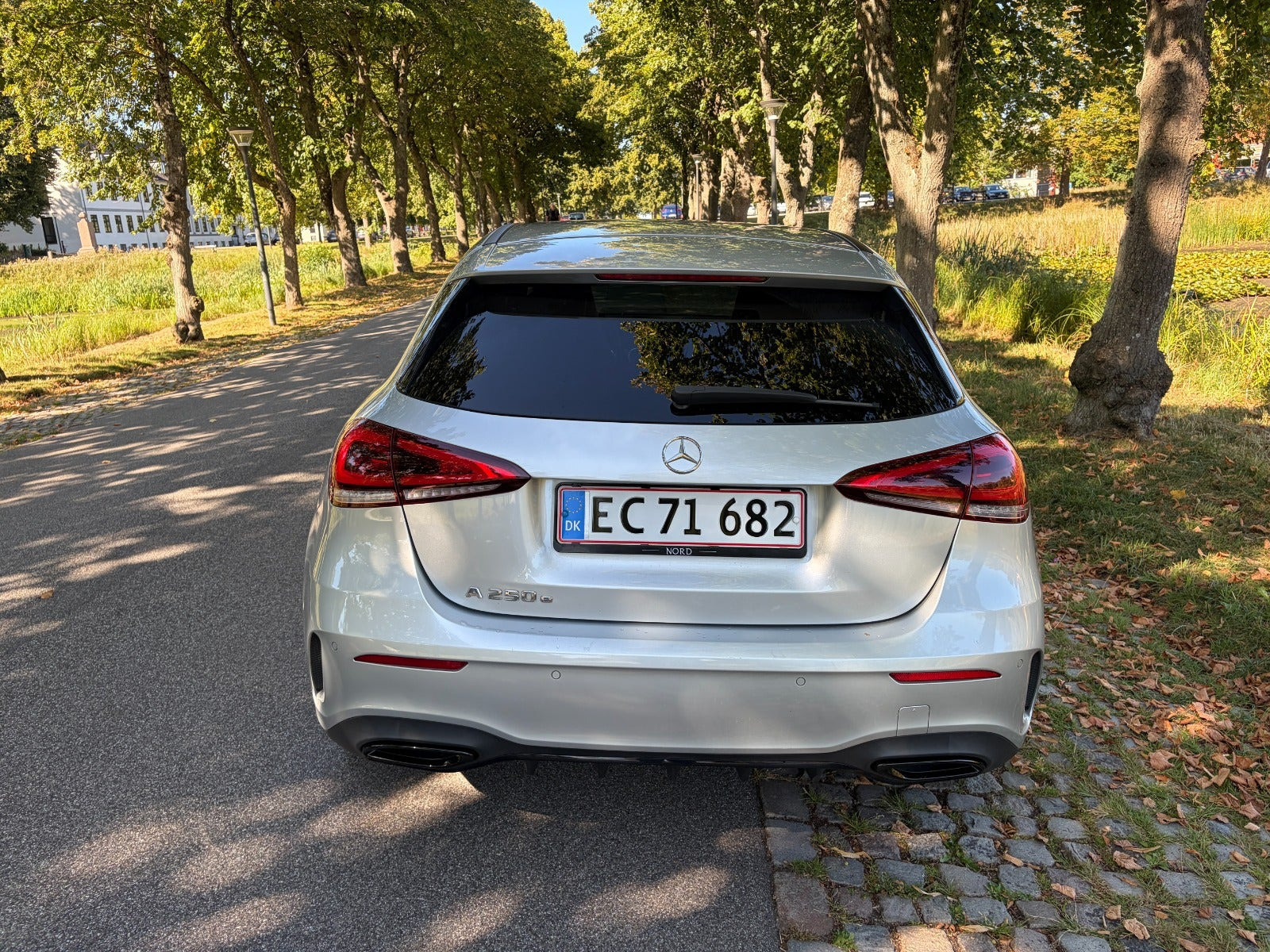 Grøn Mercedes A250 e fra 2020