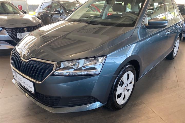 Grå Skoda Fabia fra 2019