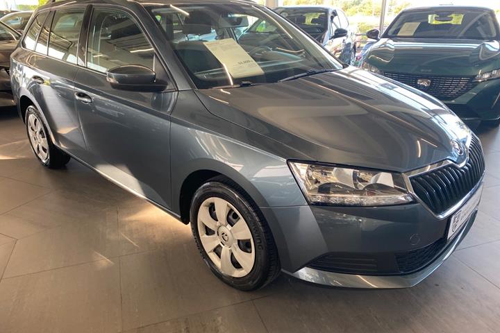 Grå Skoda Fabia fra 2019