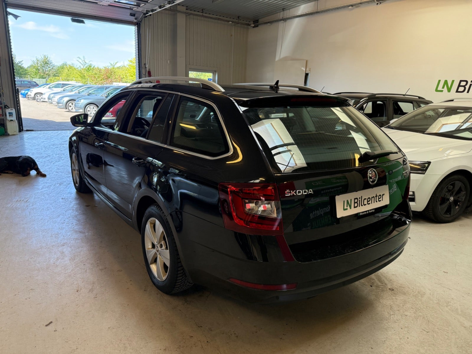 undefined Skoda Octavia fra 2020