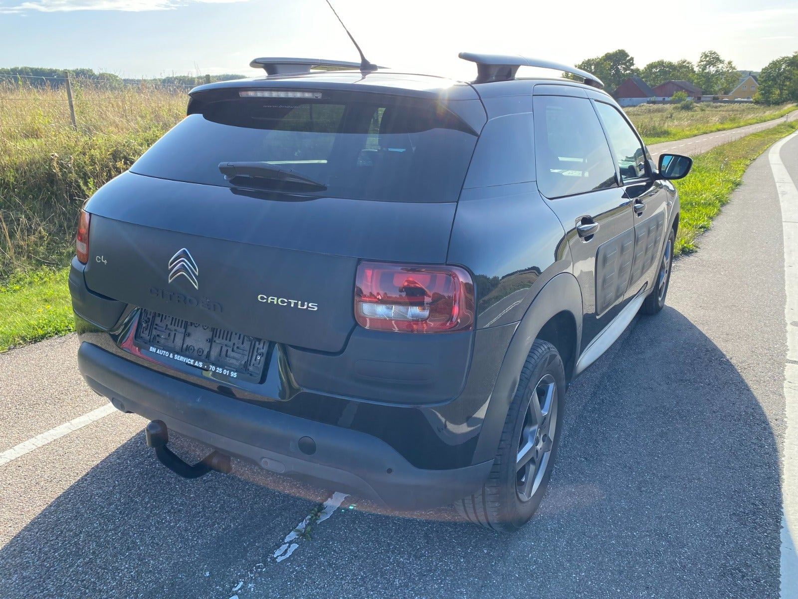 Sort Citroën C4 Cactus fra 2015