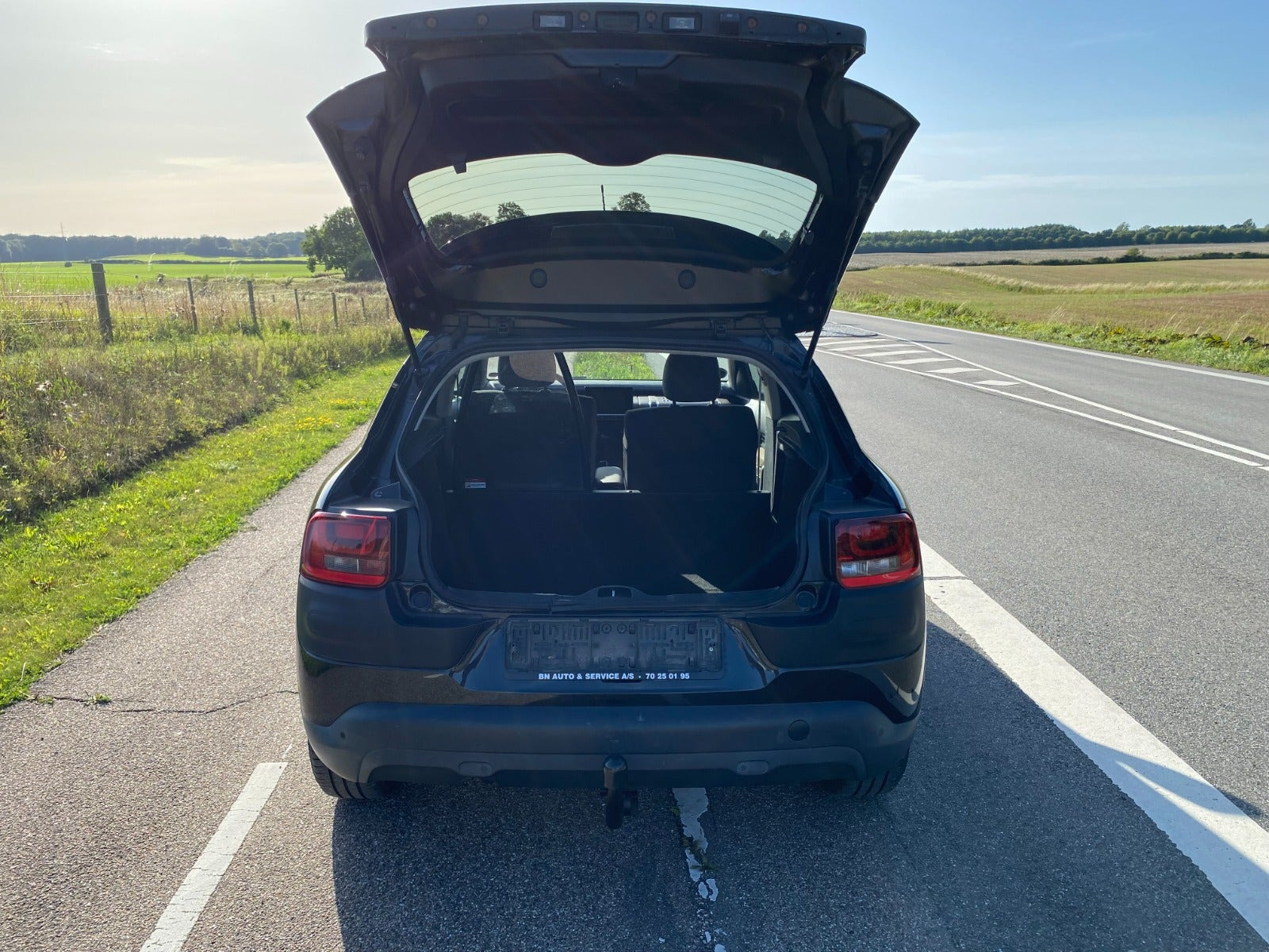 Sort Citroën C4 Cactus fra 2015