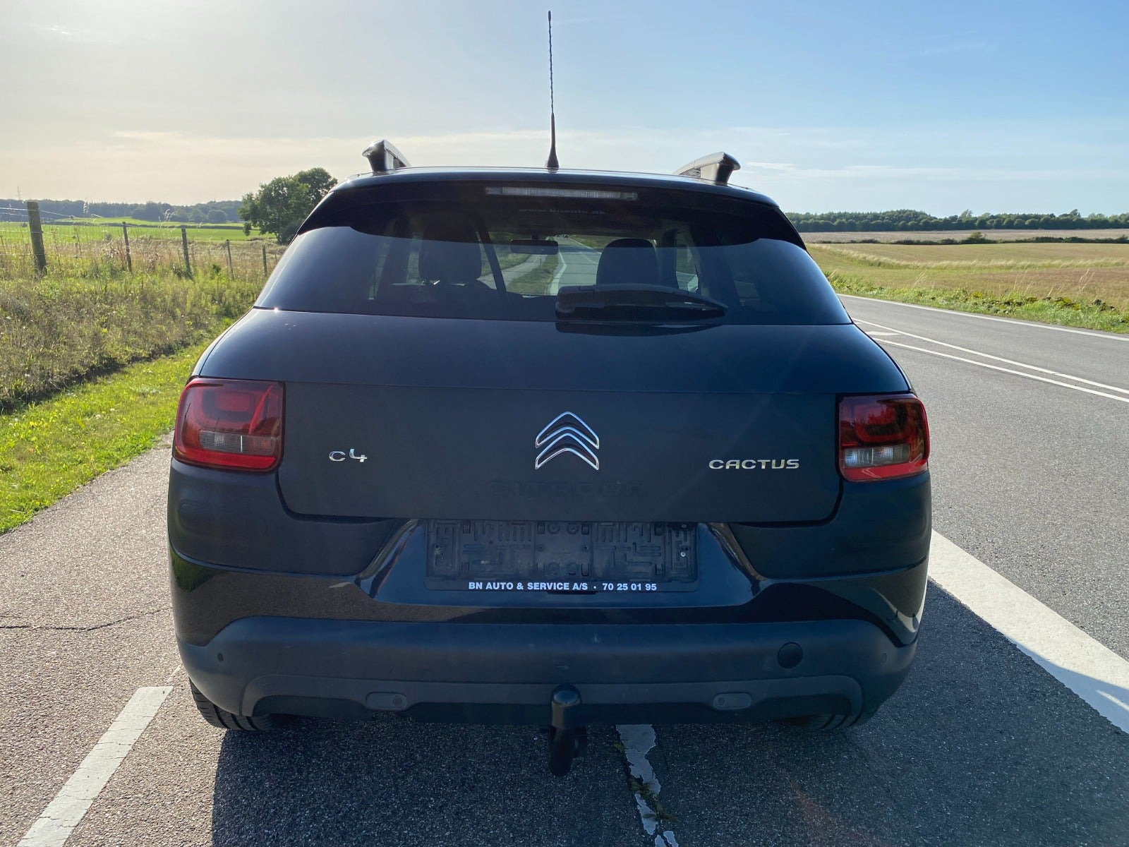 Sort Citroën C4 Cactus fra 2015