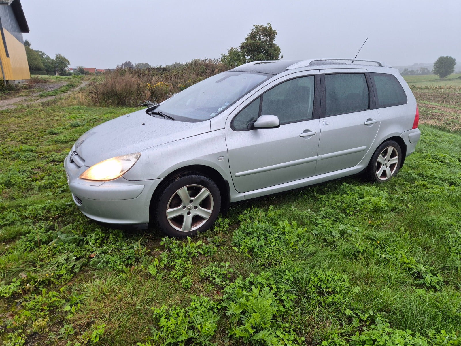 Sølv Peugeot 307 fra 2003
