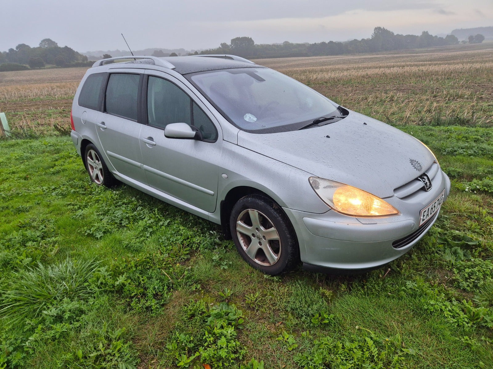 Sølv Peugeot 307 fra 2003