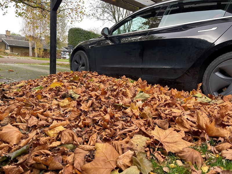 undefined Tesla Model 3 fra 2019