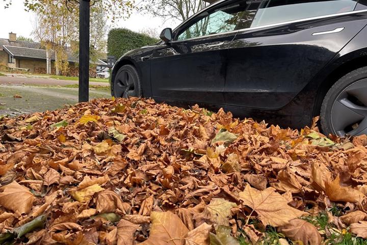 undefined Tesla Model 3 fra 2019
