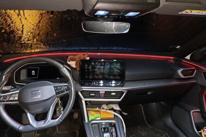 undefined Seat Leon fra 2022