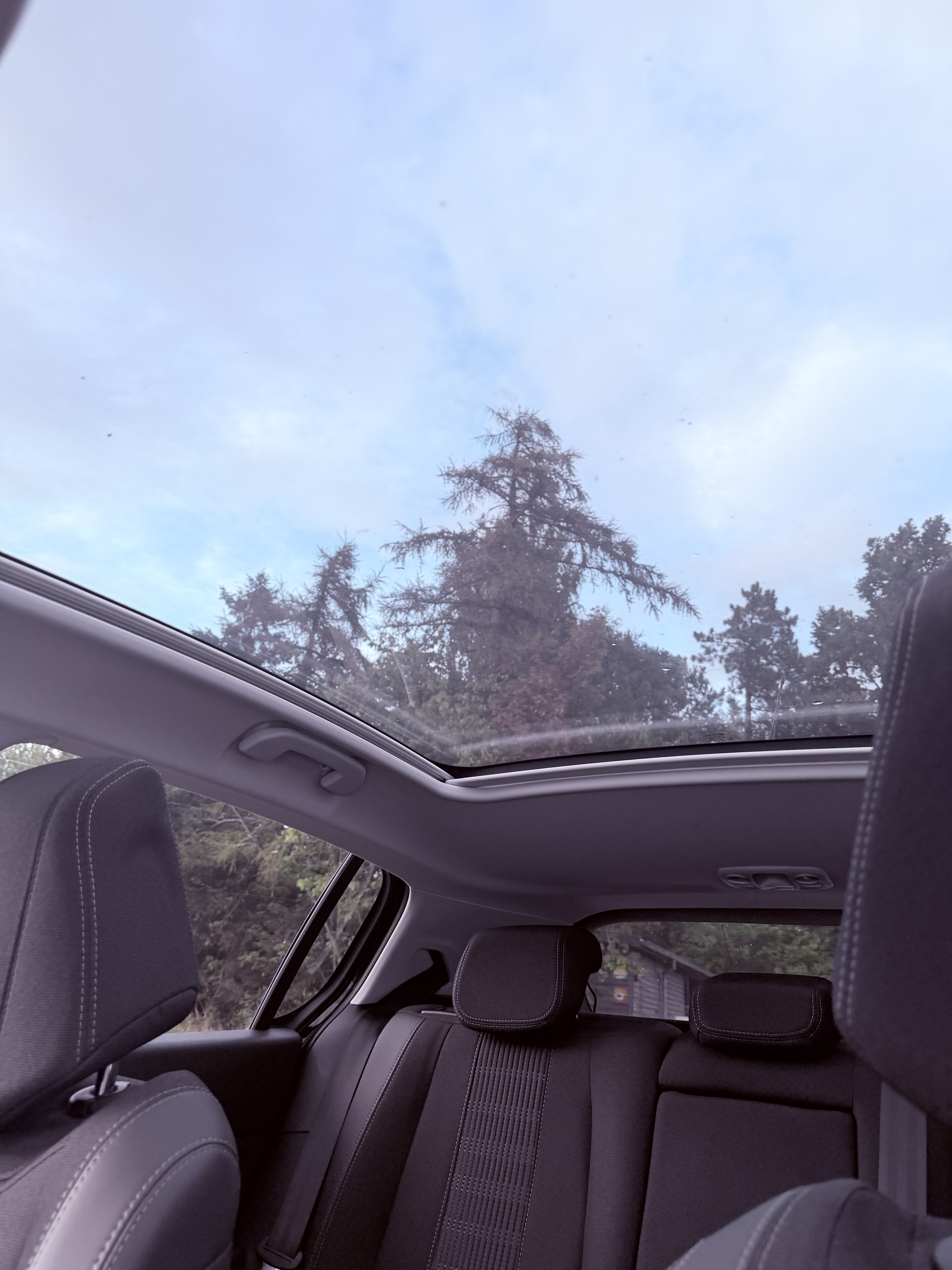 Sort Peugeot 308 fra 2019