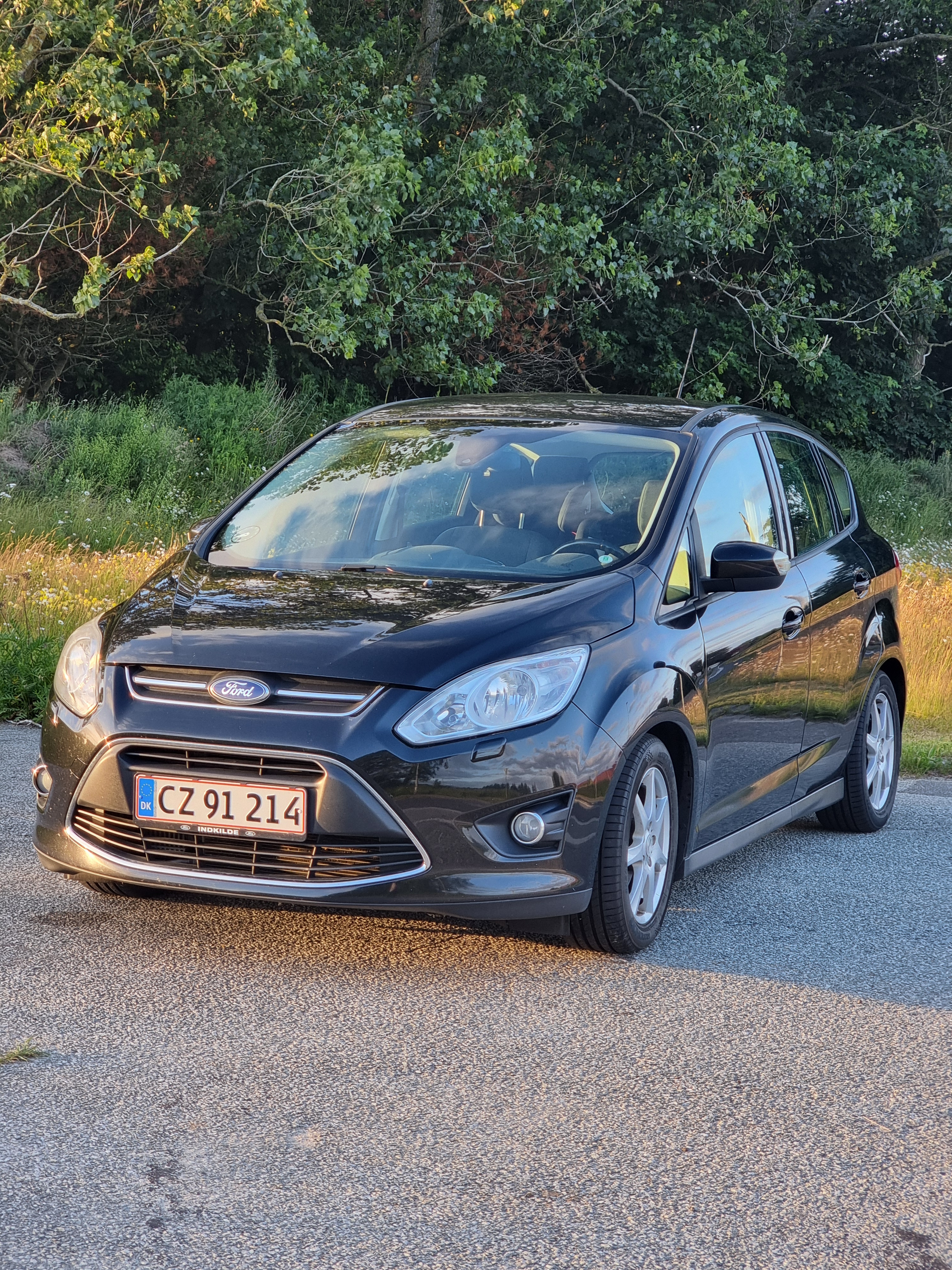 Ford C-MAX 1,0 EcoBoost (100 HK) MPV Forhjulstræk Manuel