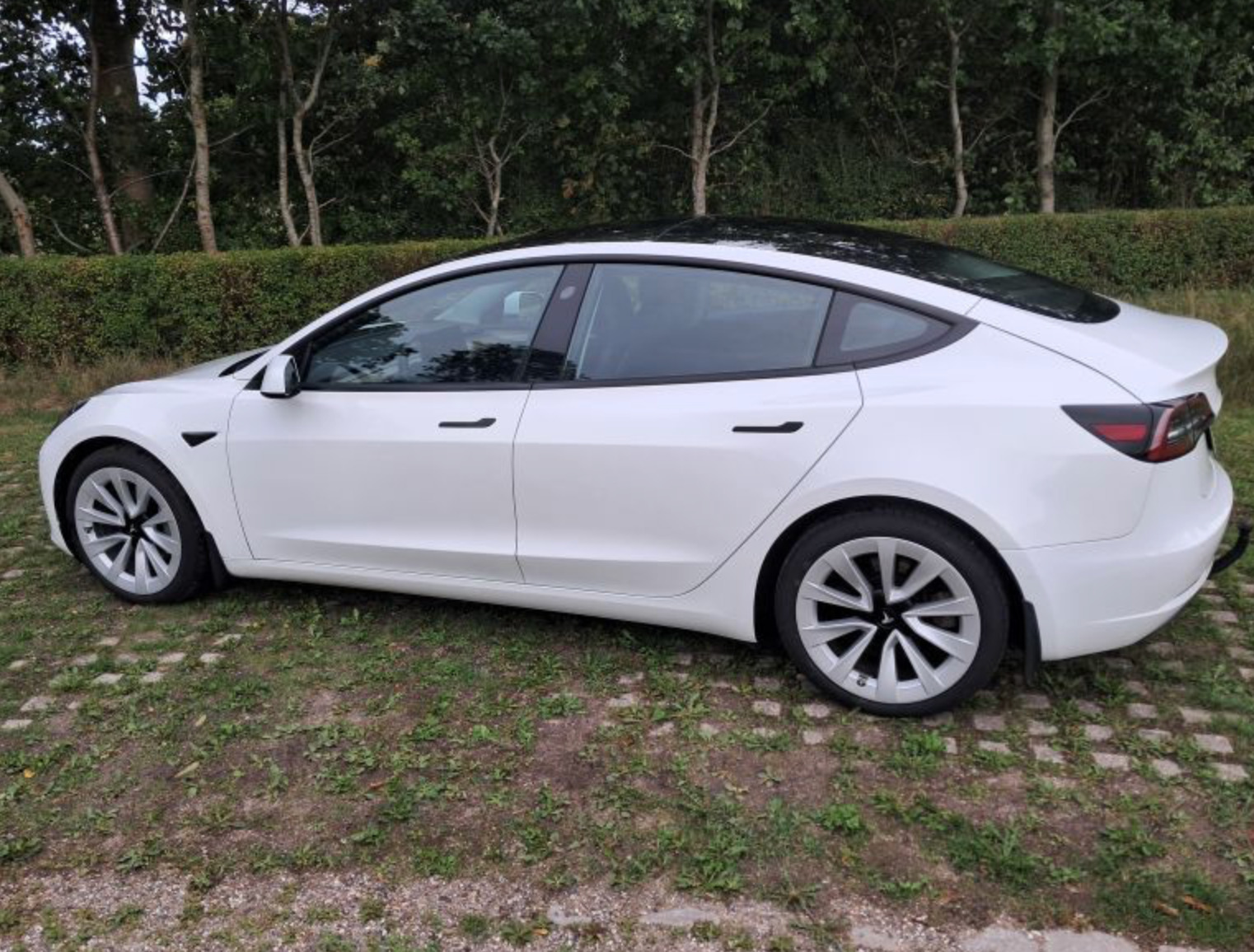 Hvid Tesla Model 3 fra 2021