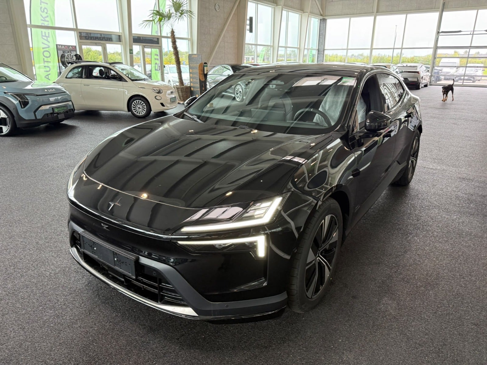 Polestar 4 Coupé RWD