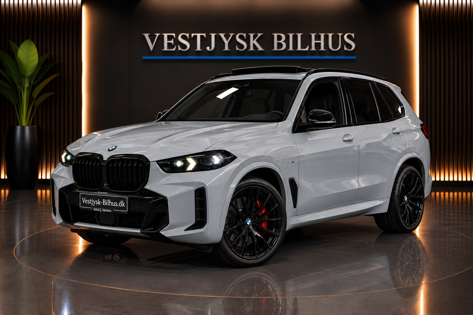 BMW X5 3,0 xDrive50e M-Sport+ aut.