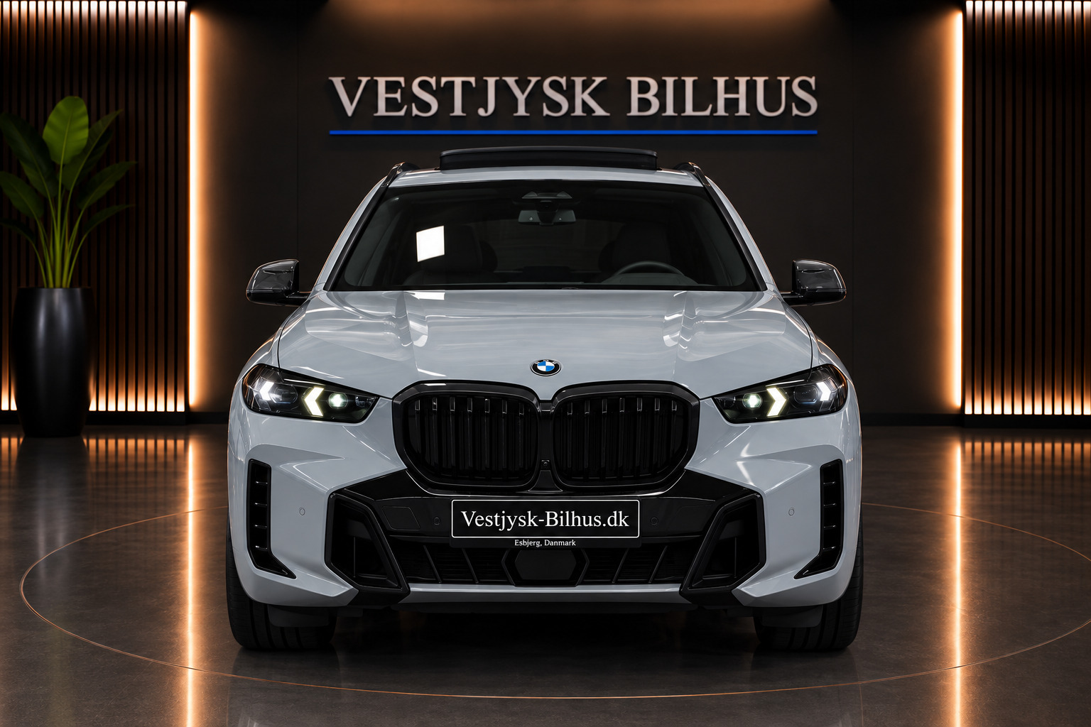 Grå BMW X5 fra 2023