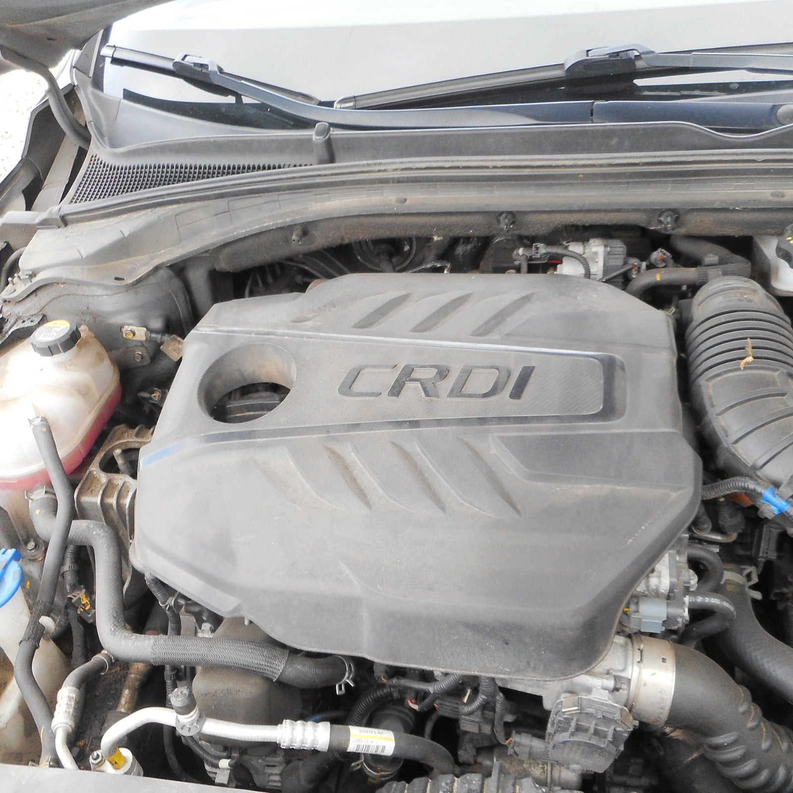 undefined Hyundai i30 fra 2018