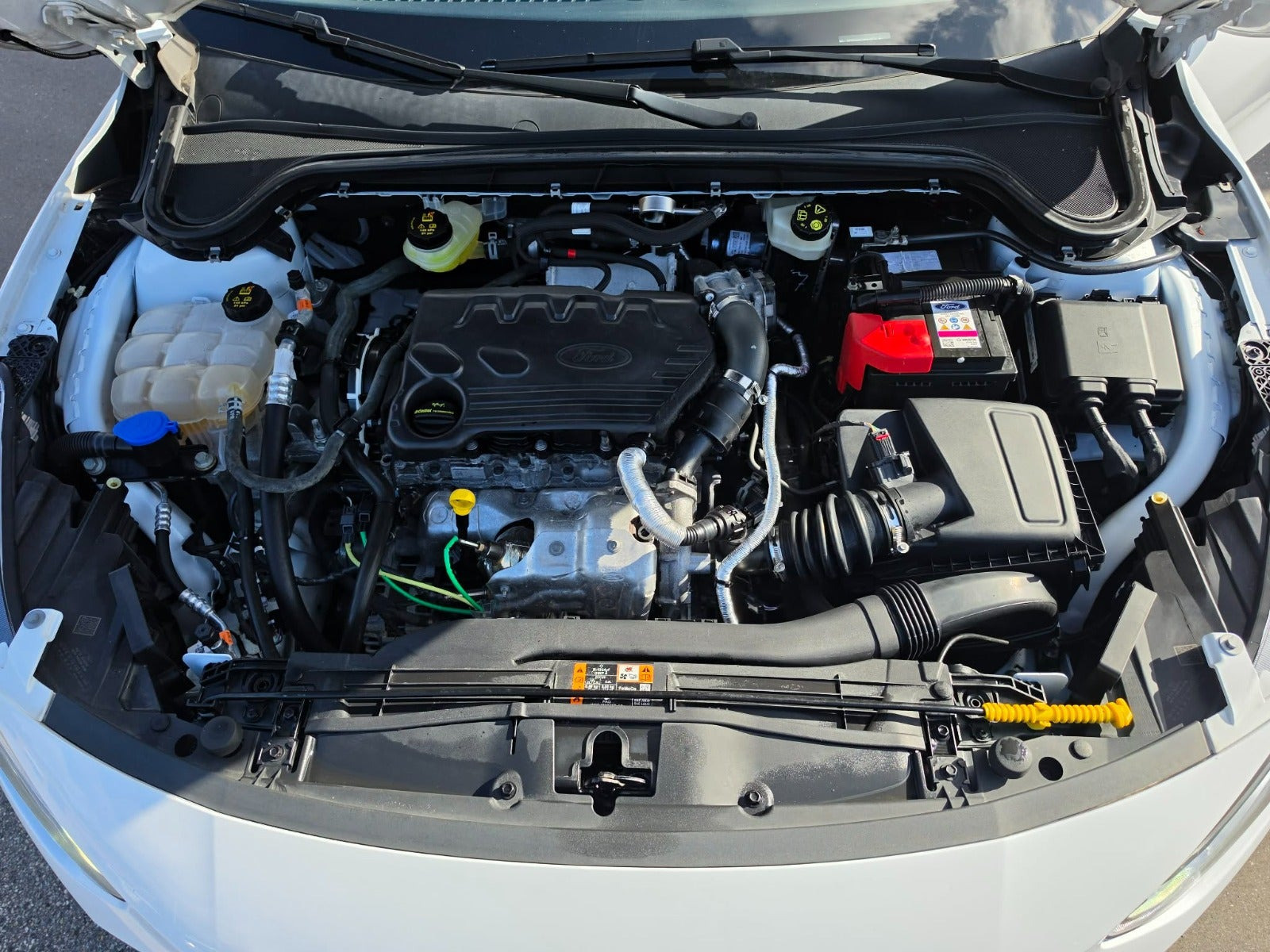 undefined Ford Focus fra 2022