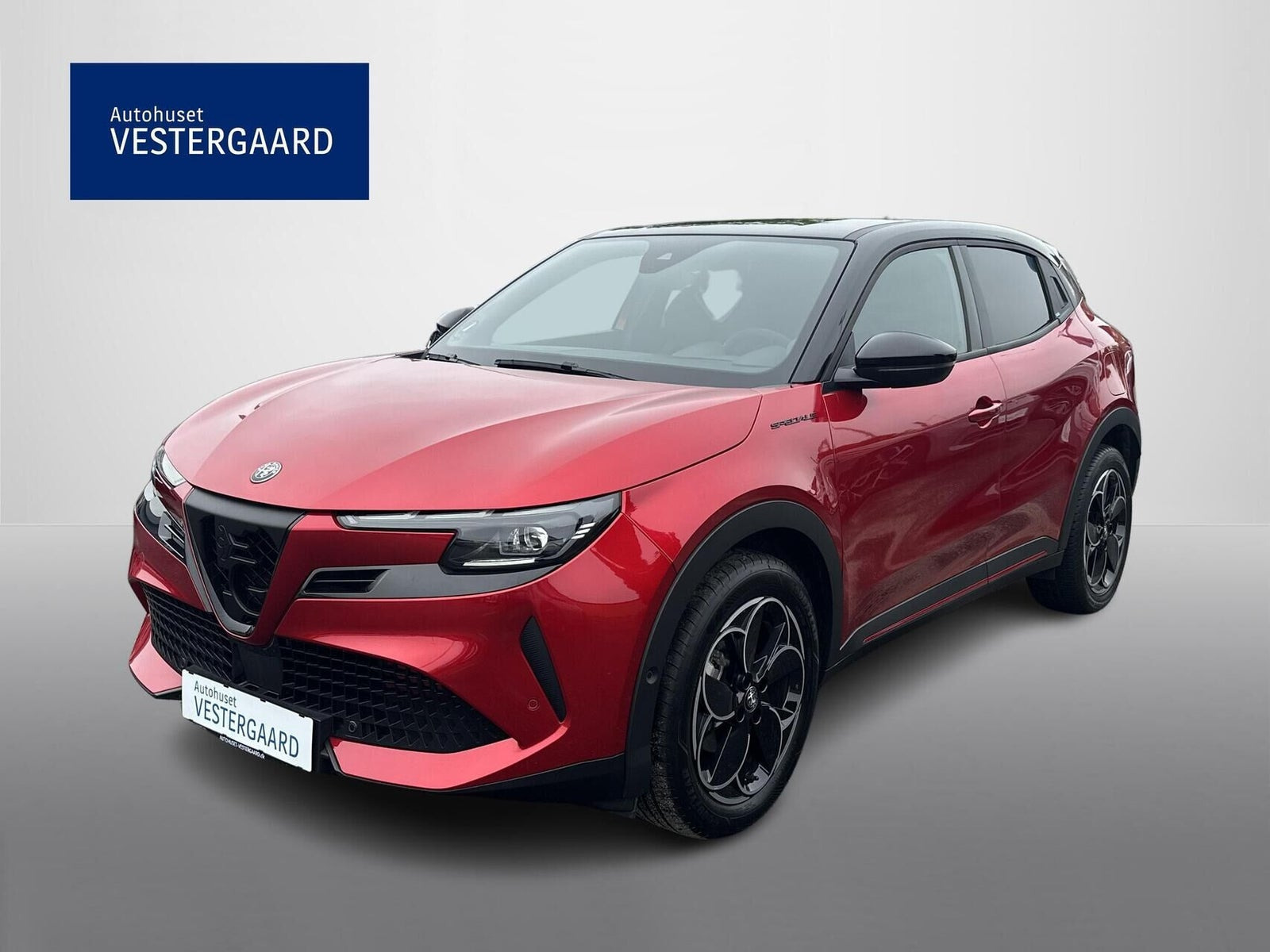 Alfa Romeo Junior Elettrica Speciale