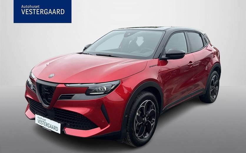 Alfa Romeo Junior Elettrica Speciale