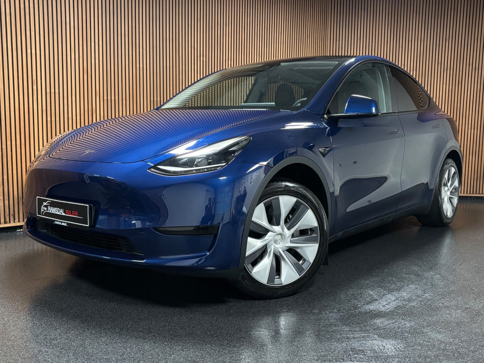 Tesla Model Y Long Range RWD