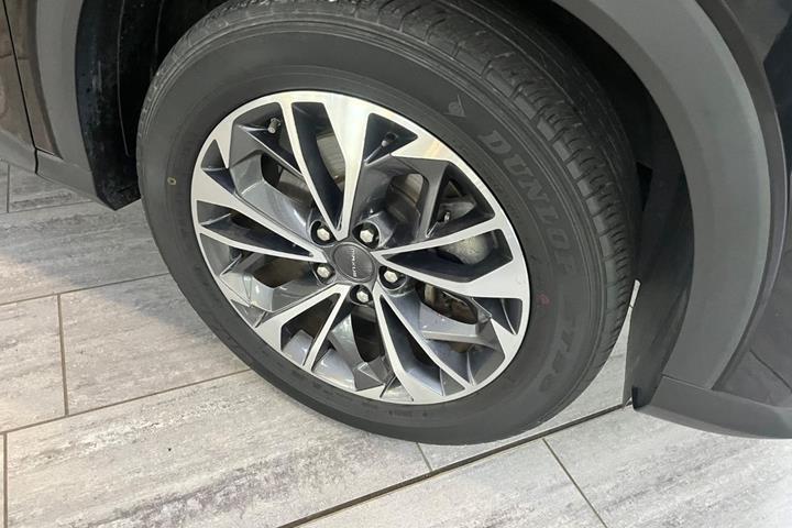 Sort Maxus Euniq6 fra 2022
