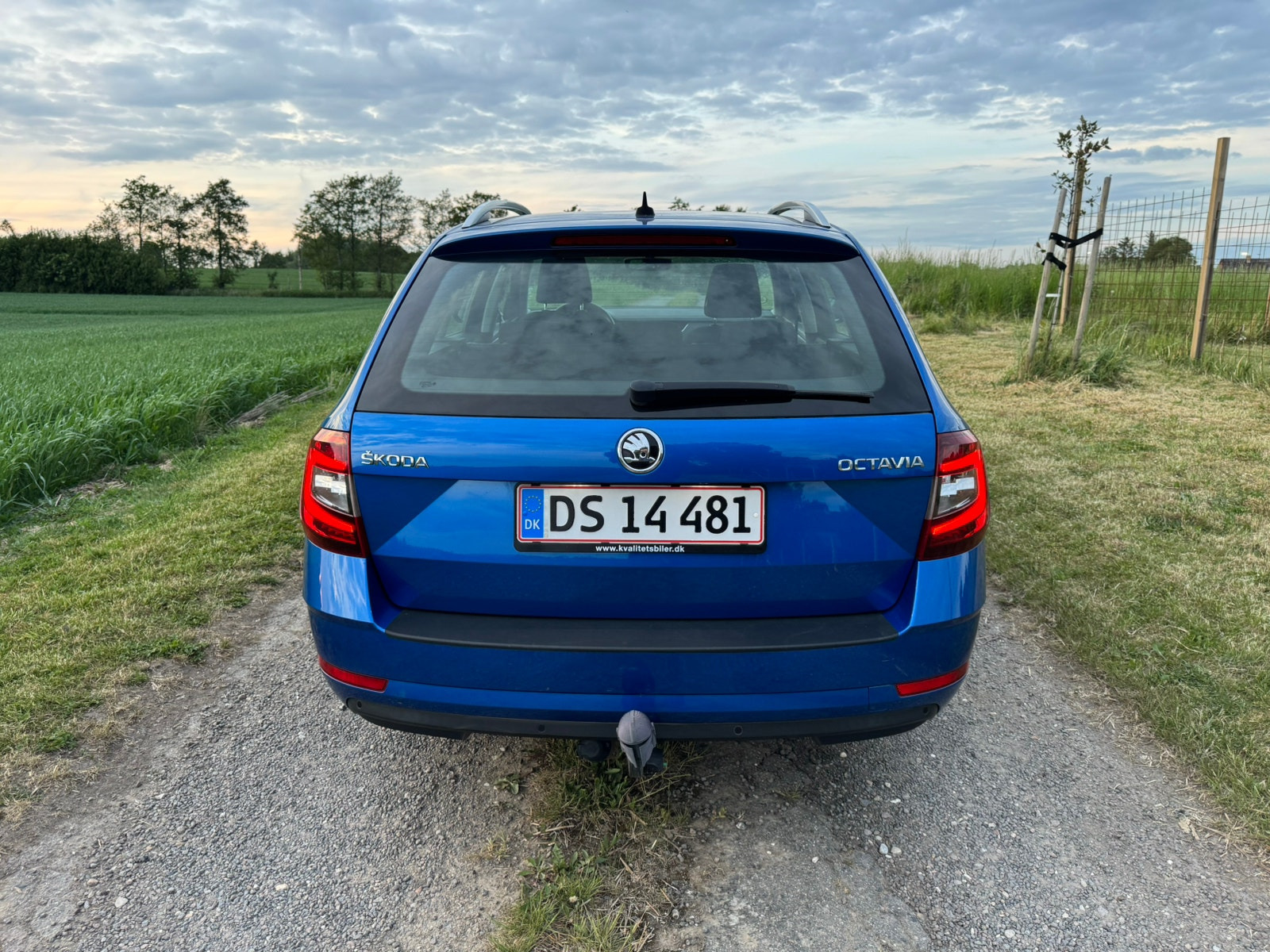 Blå Skoda Octavia fra 2020