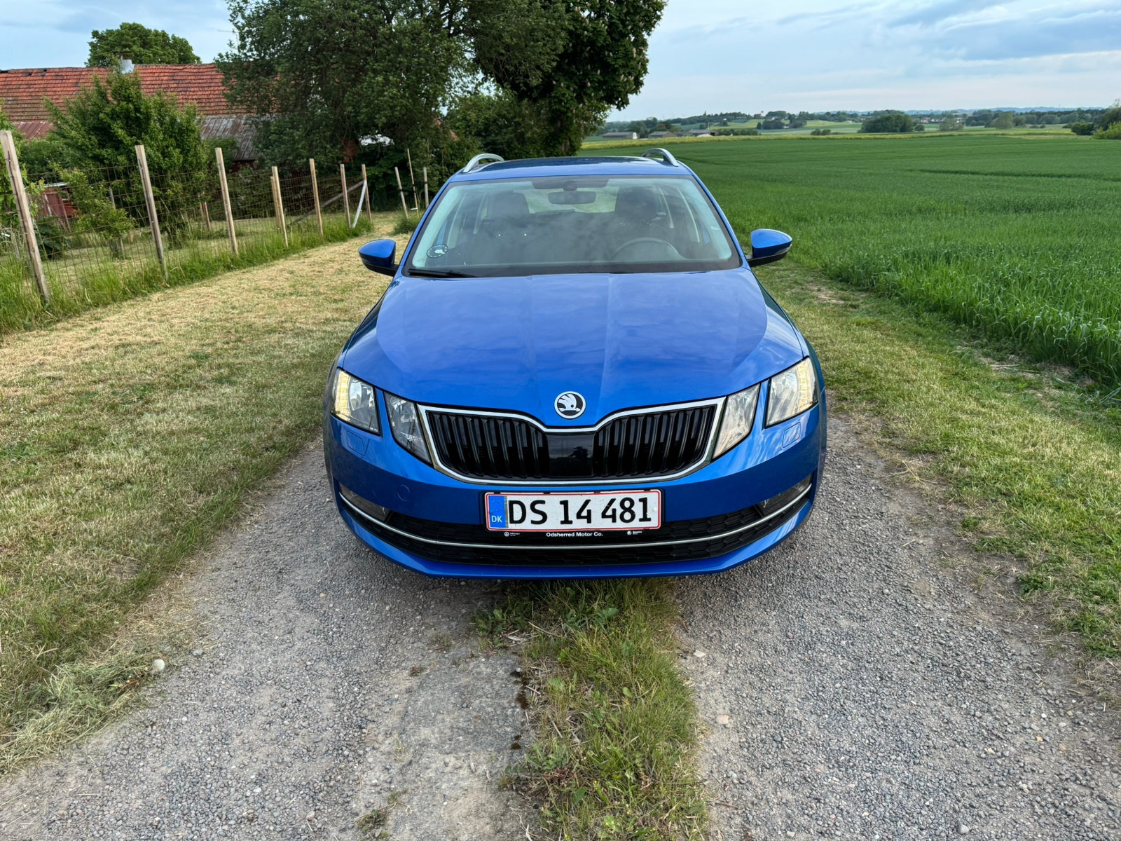 Blå Skoda Octavia fra 2020