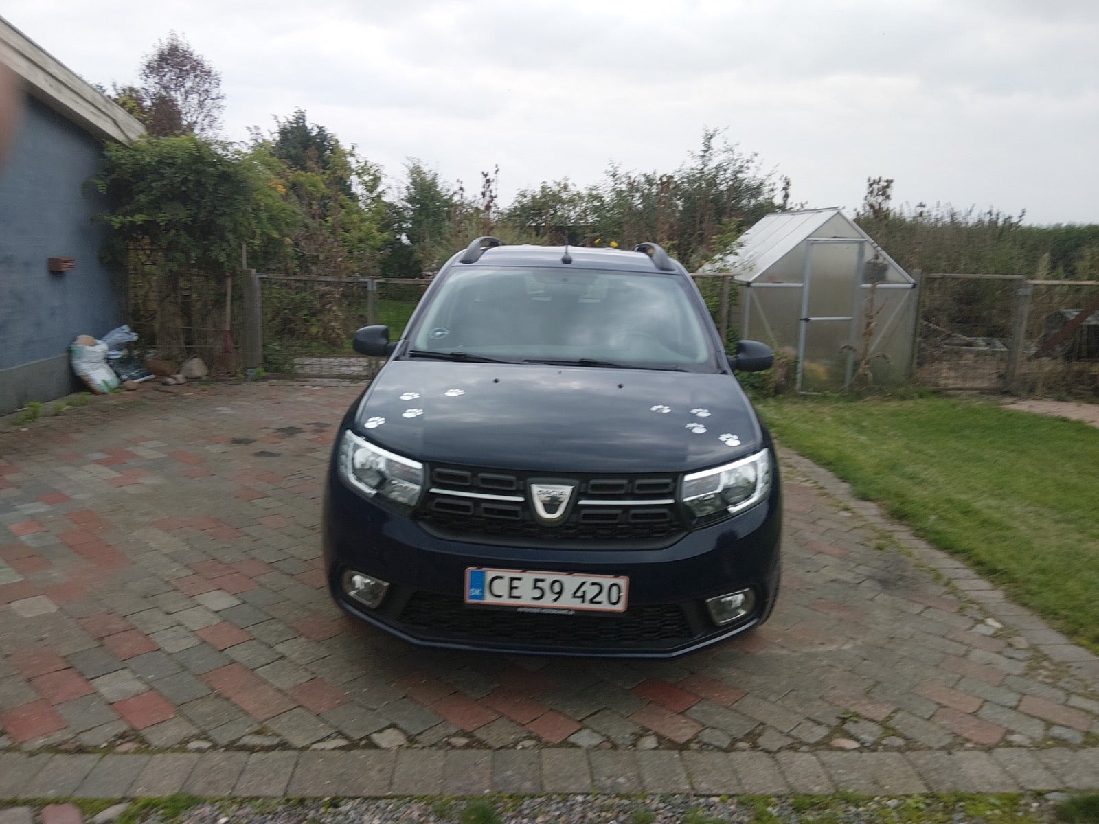Blå Dacia Logan fra 2018