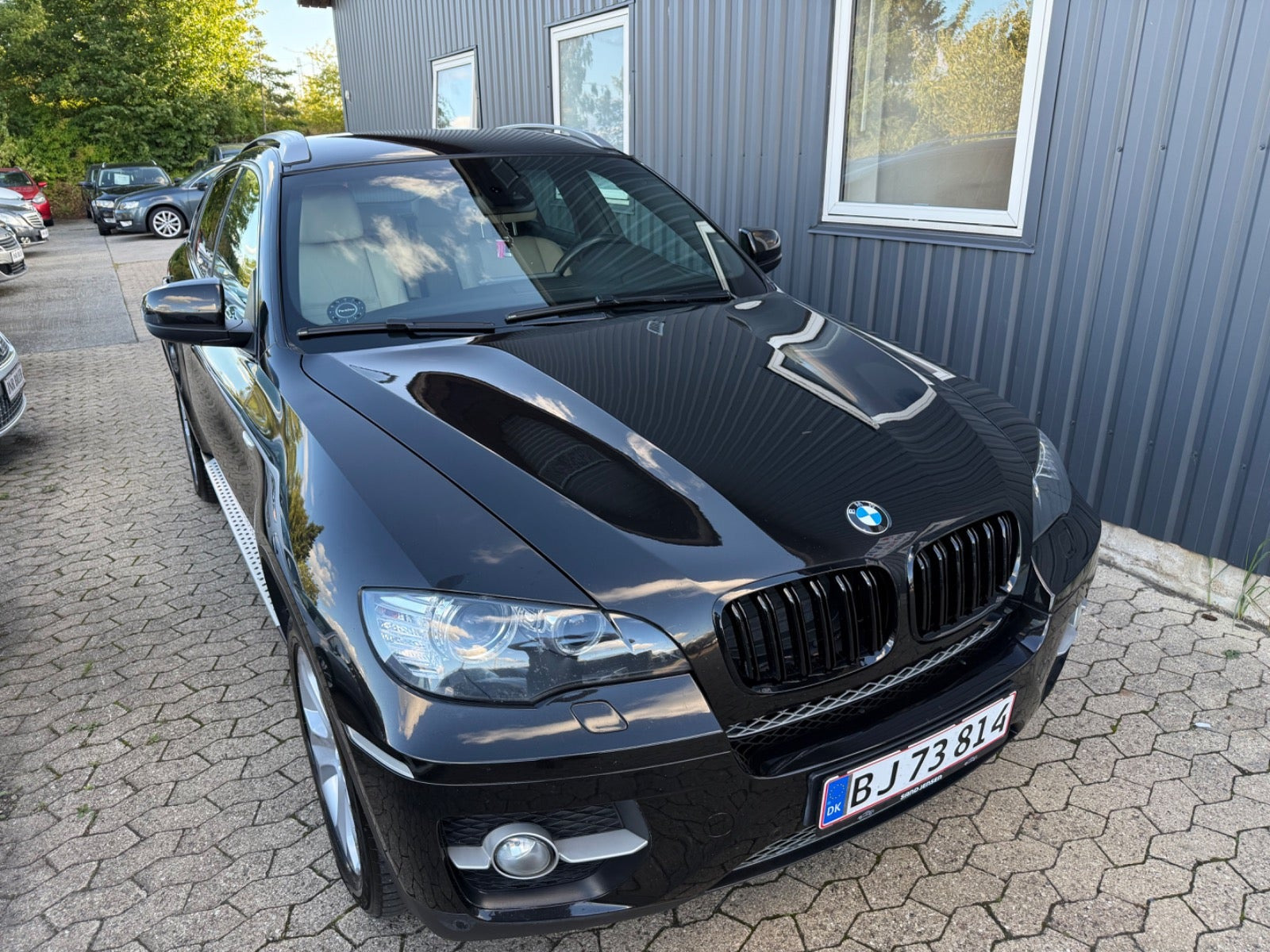 undefined BMW X6 fra 2013