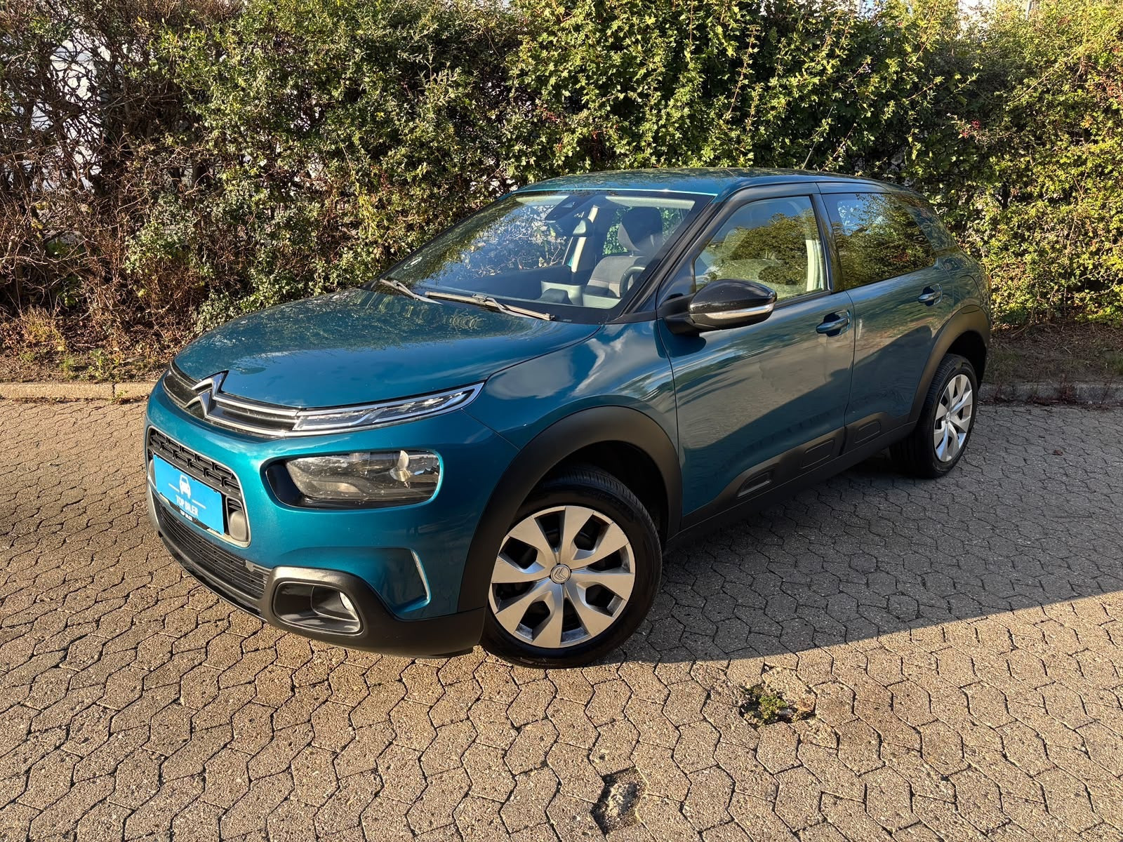 Citroën C4 Cactus 1,2 PureTech 110 Iconic