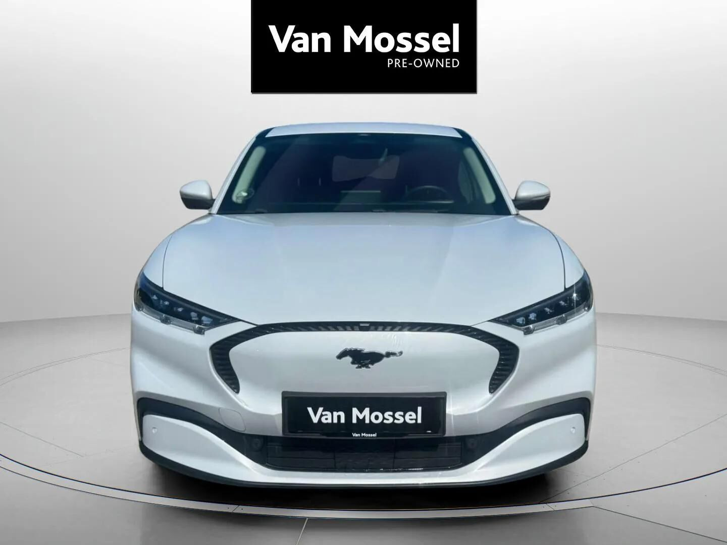 Hvid Ford Mustang Mach-E fra 2022