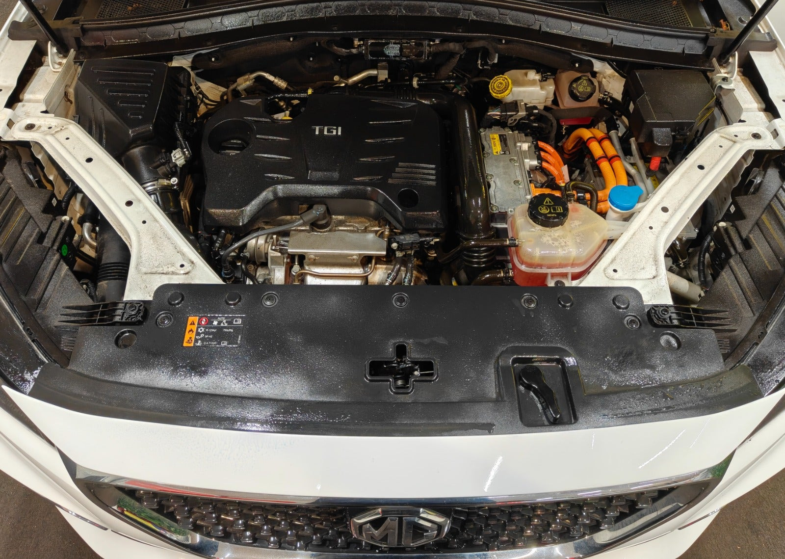 undefined MG EHS fra 2021