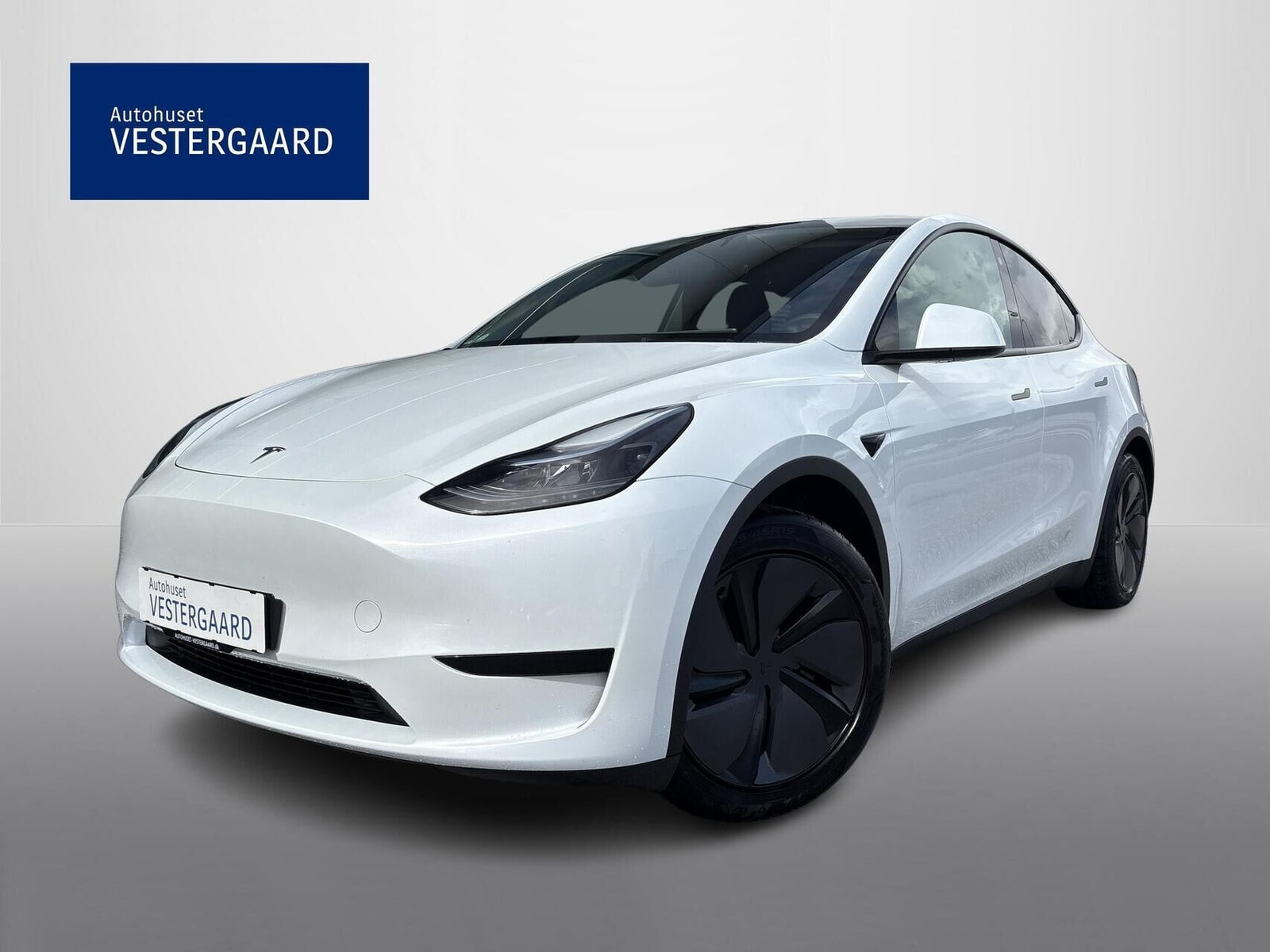 Tesla Model Y RWD