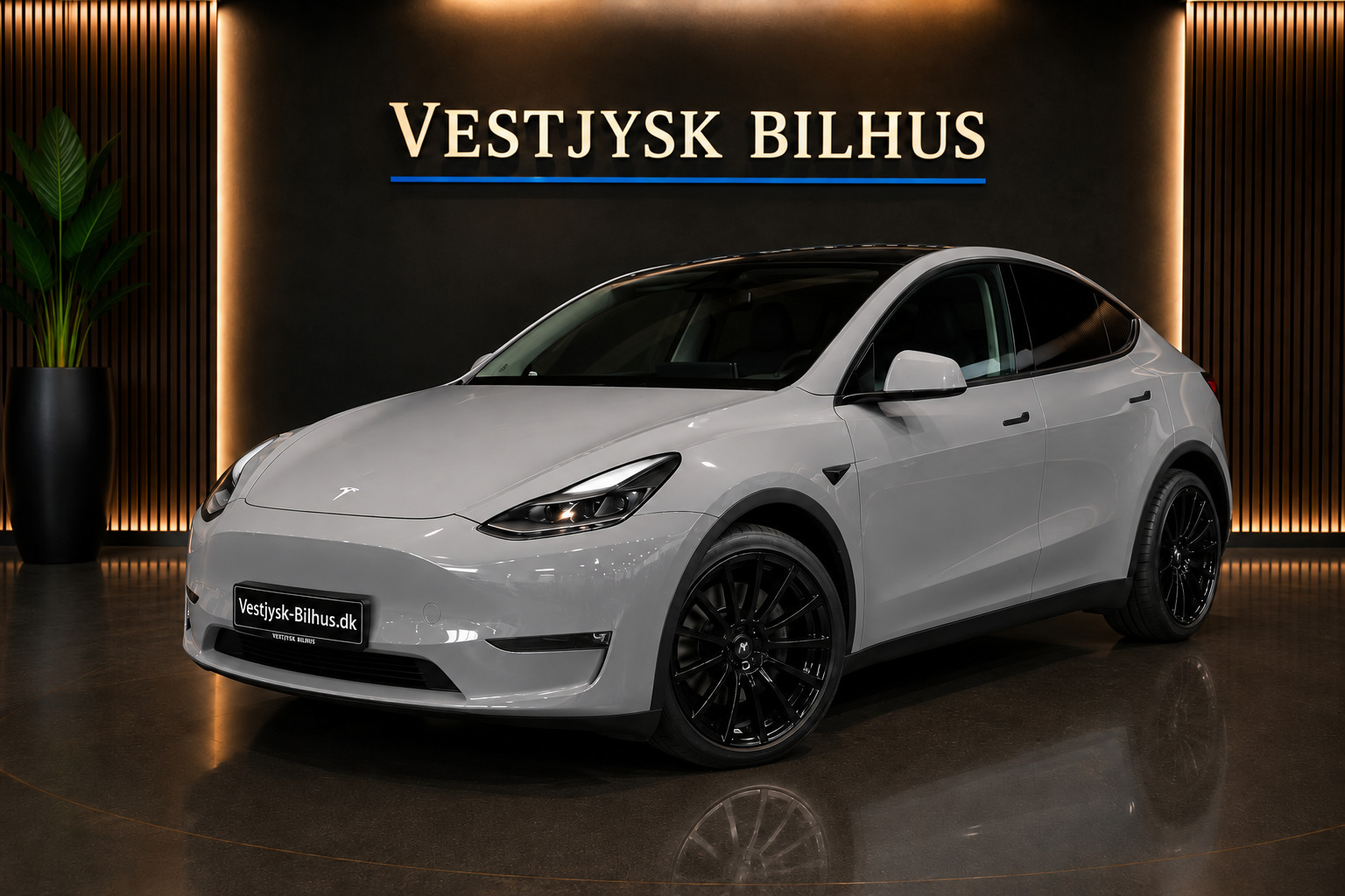 Tesla Model Y Long Range AWD