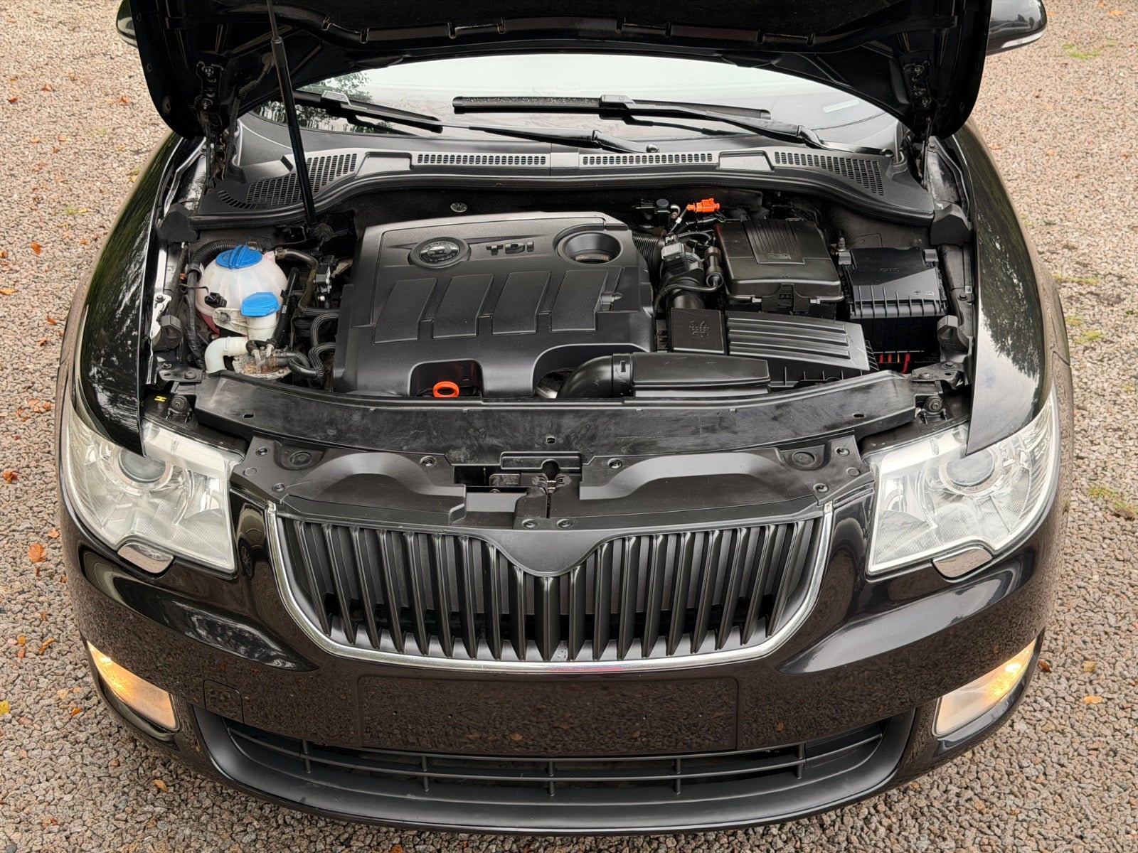 Gul Skoda Superb fra 2012