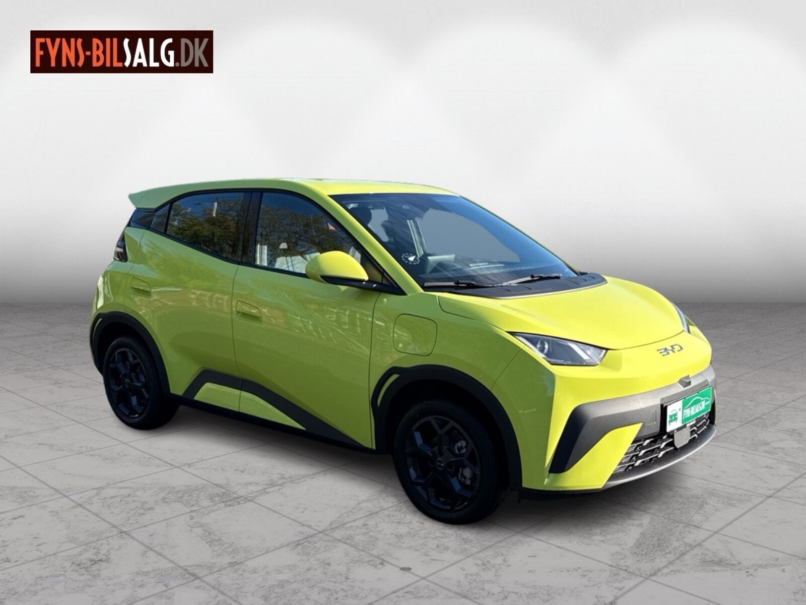 Grøn BYD Dolphin Surf fra 2026