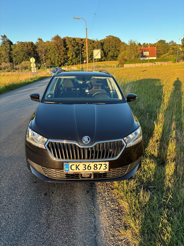 undefined Skoda Fabia fra 2019