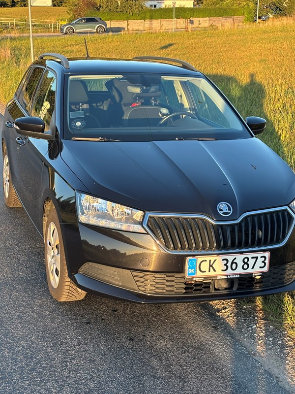 undefined Skoda Fabia fra 2019