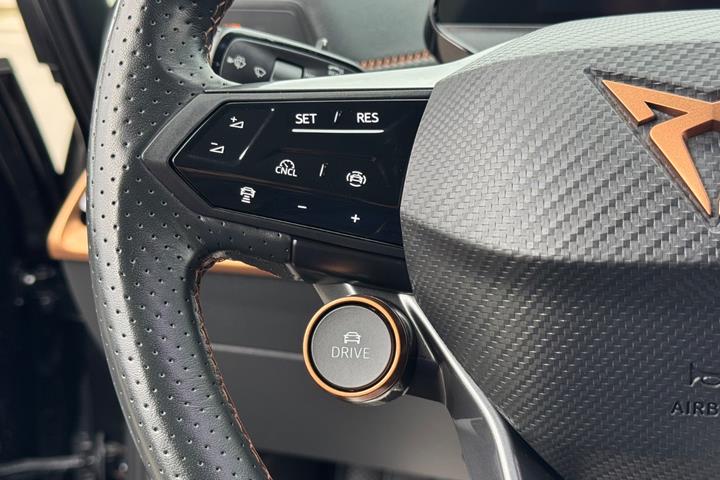 Sort Cupra Born fra 2025