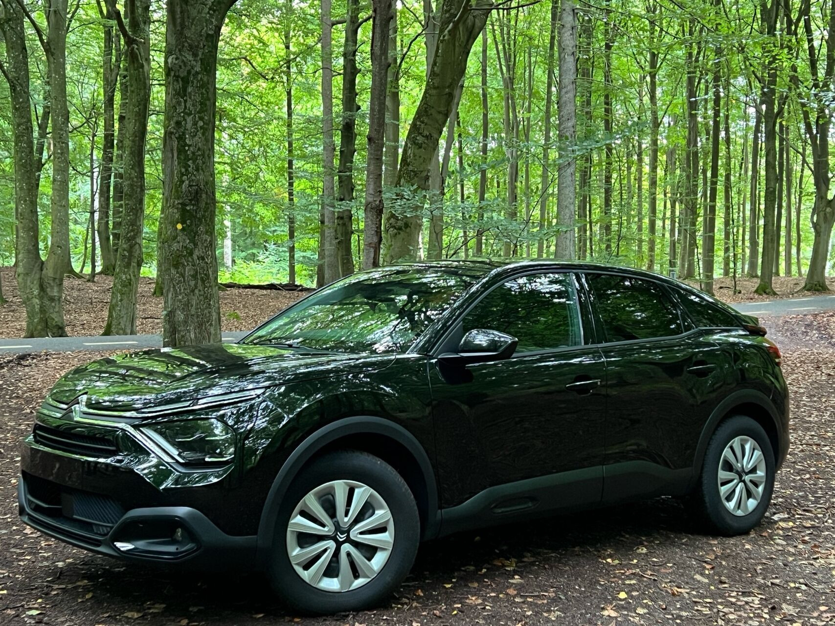 Sort Citroën C4 fra 2022