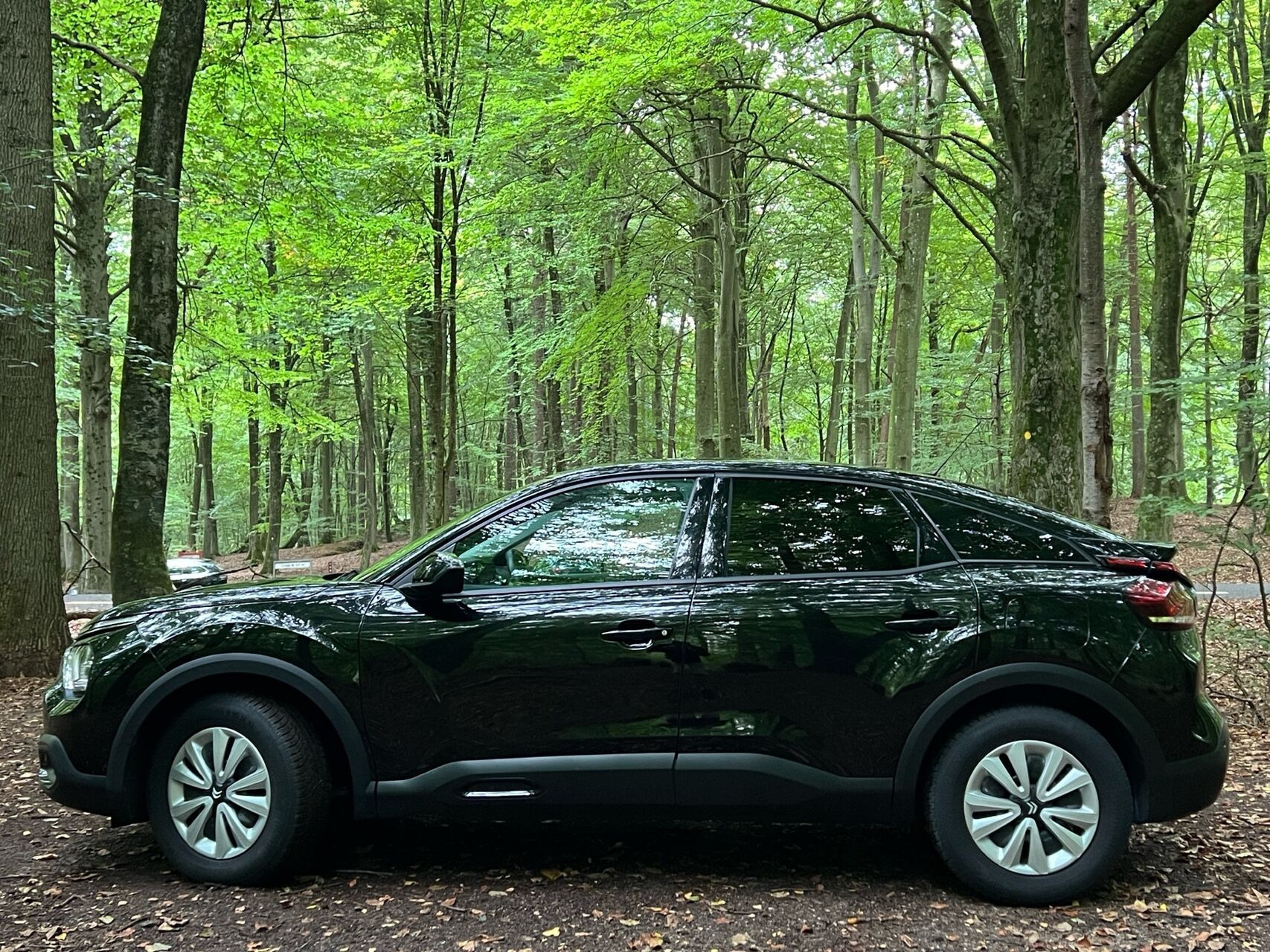 Sort Citroën C4 fra 2022