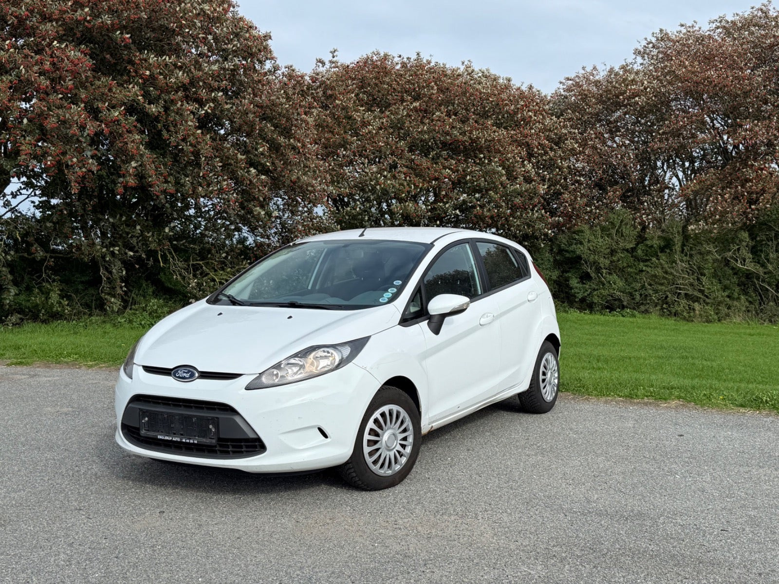 undefined Ford Fiesta fra 2010