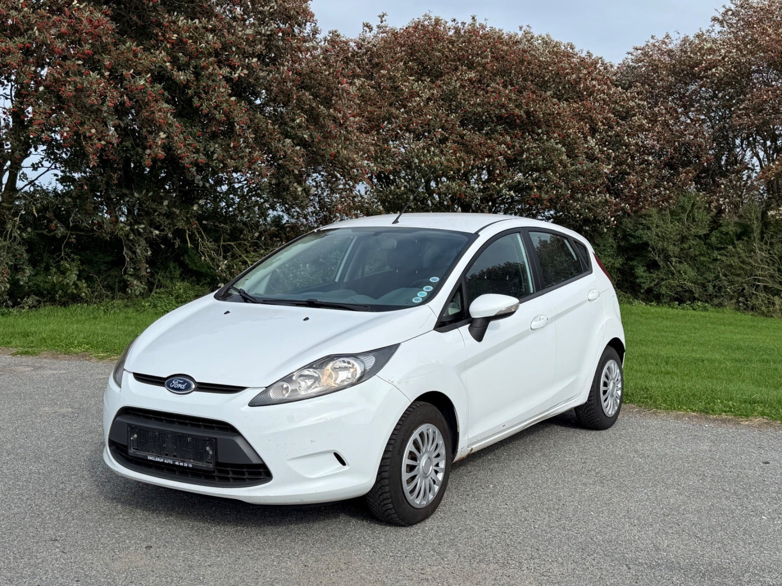 undefined Ford Fiesta fra 2010