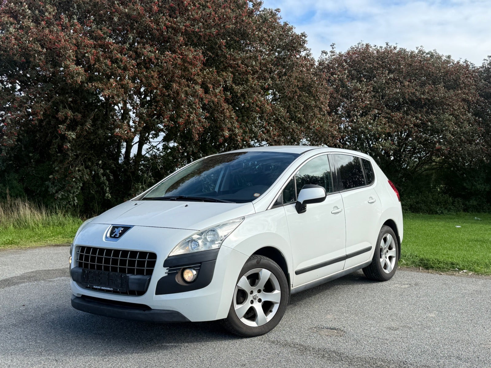 undefined Peugeot 3008 fra 2011