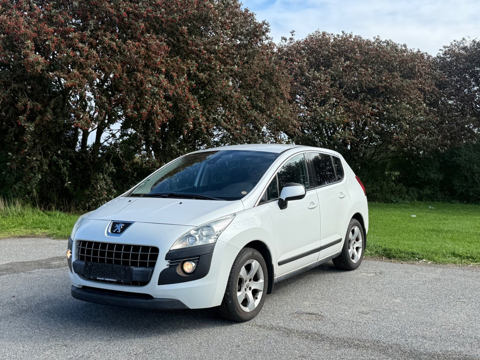undefined Peugeot 3008 fra 2011