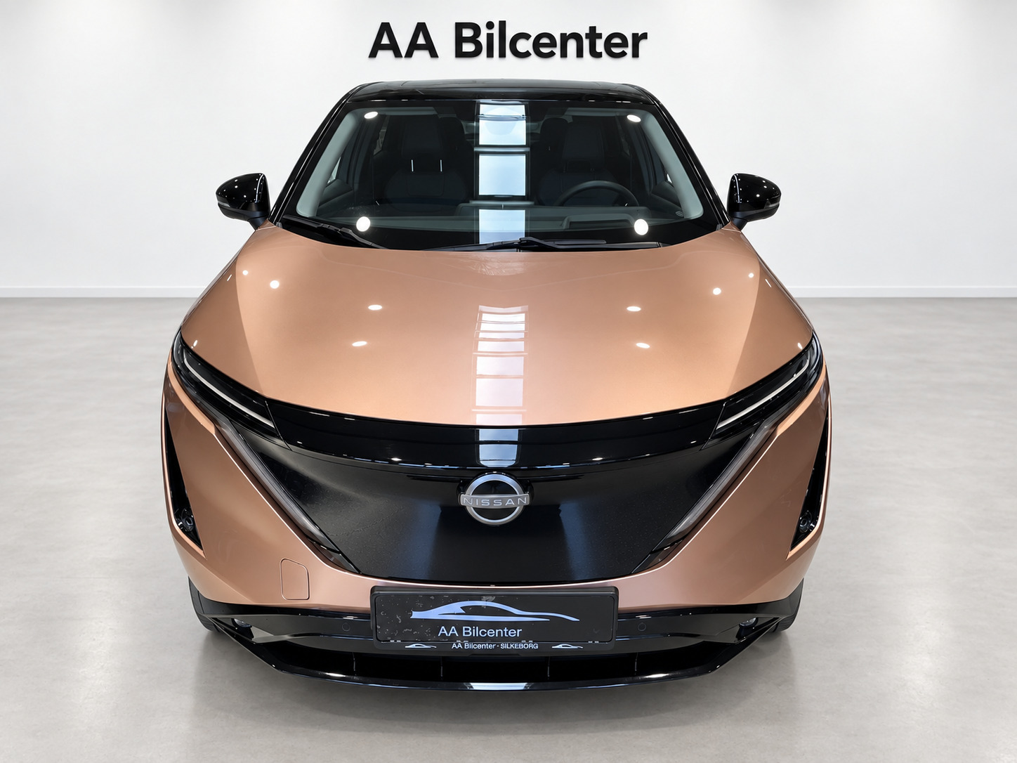 Bronze Nissan Ariya fra 2024