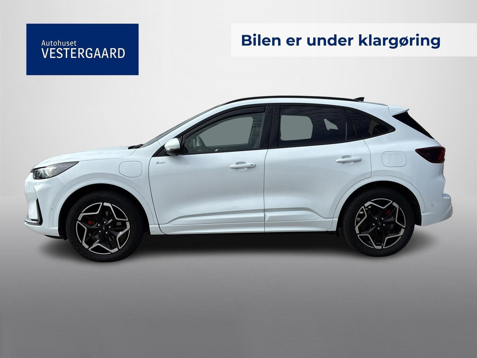 Hvid Ford Kuga fra 2024