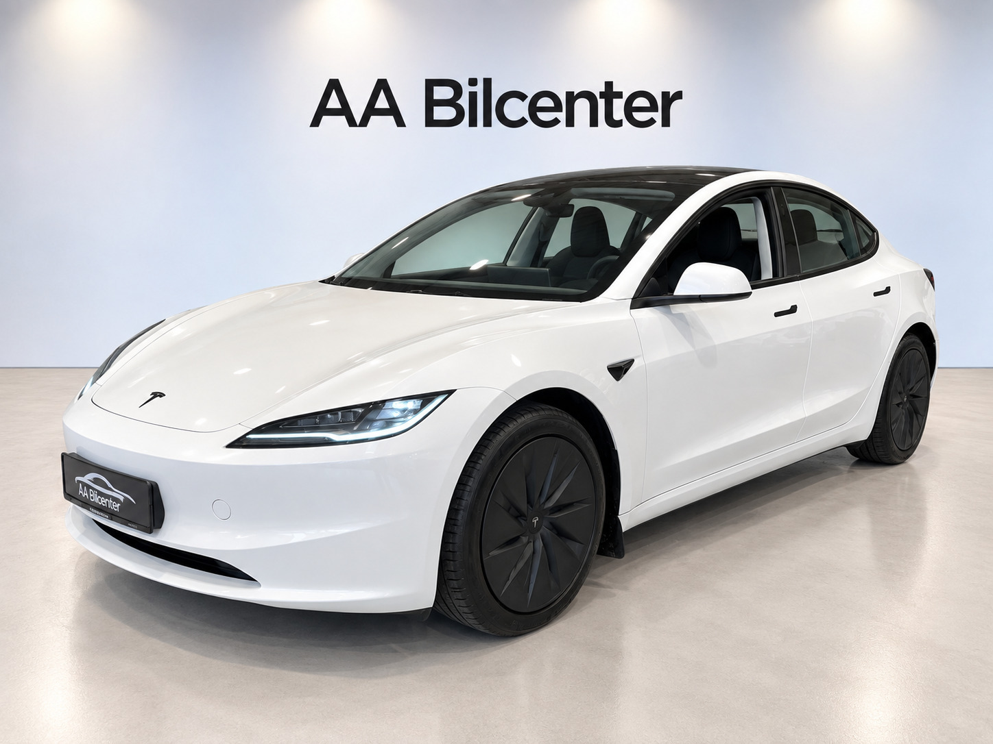 Tesla Model 3 Standard RWD