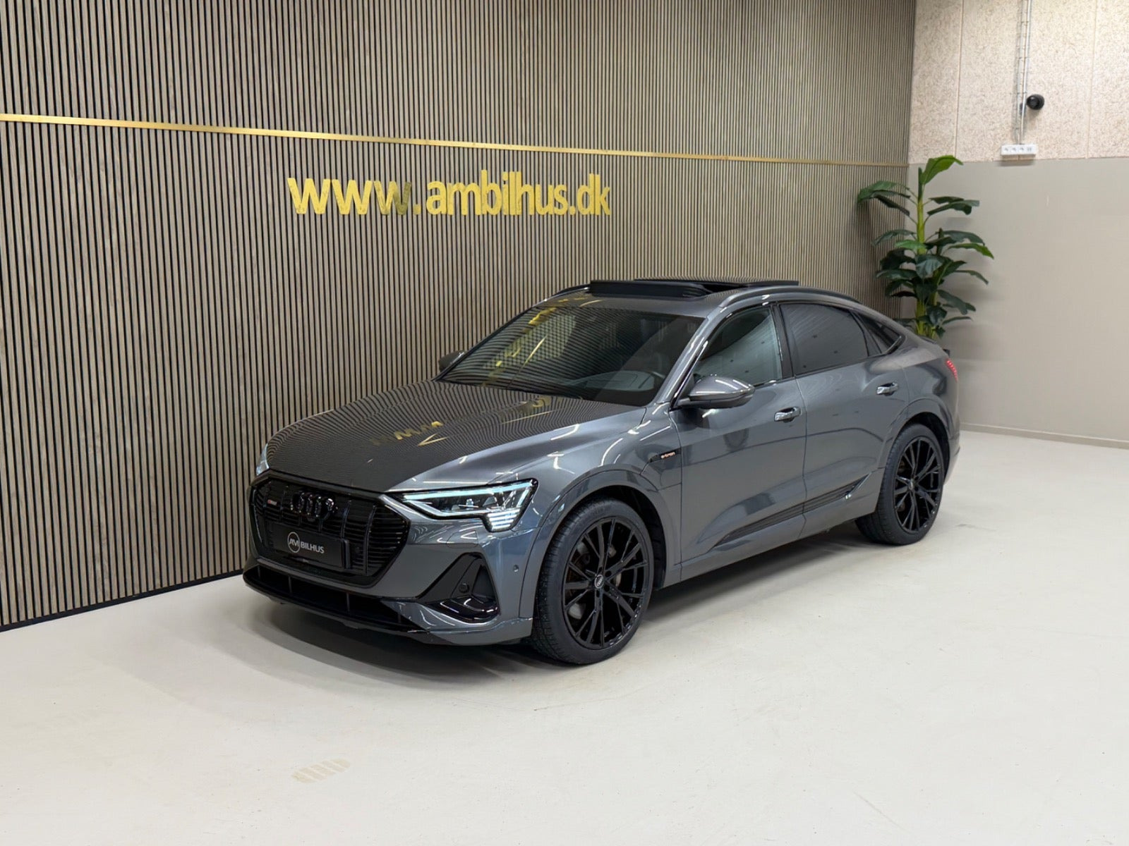 Grøn Audi e-tron fra 2022